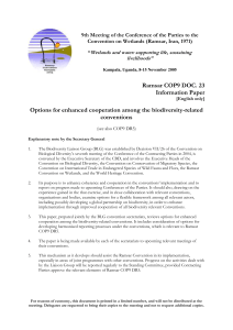 Word - The Ramsar Convention on Wetlands