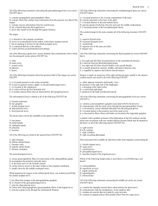 An autonomic pathway from the central nervous system to the