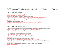 Chapter 33 Circulatory and Respiratory Systems