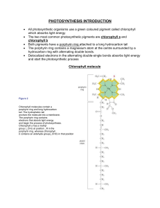 PHOTOSYNTHESIS INTRODUCTION