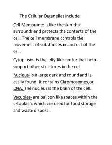 The Cellular Organelles include: Cell Membrane: is like the skin that