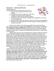 Gram stain reagents - Bakersfield College