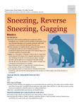 sneezing_reverse_sneezing_gagging