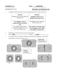 Sc 1#5 Answers