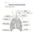 Respiratory Test Review