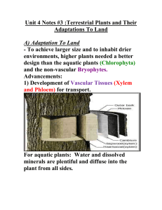 Unit 4 Notes #3Terrestrial Plants and Their - Mr. Lesiuk