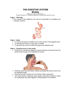 Anatomy Review: Digestive System
