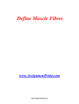 Define Muscle Fibres www.AssignmentPoint.com Muscles, being the