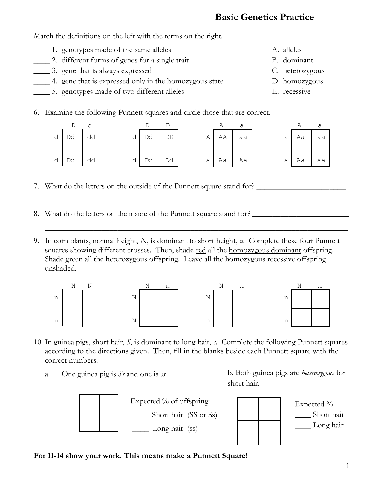 Monohybrid Cross Problems In Monohybrid Cross Practice Problems Worksheet
