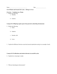 Name Date Ch 10 Meiosis and Sexual Life Cycles – Biology in