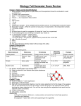 Fall Final Review - Answer Key