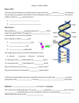 Chapter 12 DNA and RNA