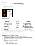 Cell Processes - cloudfront.net