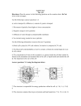 Unit Exam on Cells