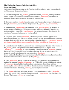 Endocrine Color Sheet Questions