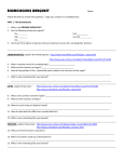 BIOMOLECULES WEBQUEST