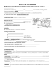 NOTES: Plant Reproduction and Development