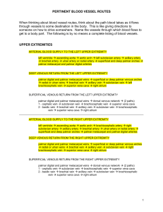 pertinent blood vessel routes