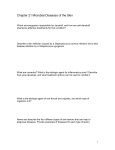 Chapter 21 Microbial Diseases of the Skin