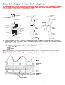 Lecture 2: Physiological principles in the alimentary tract