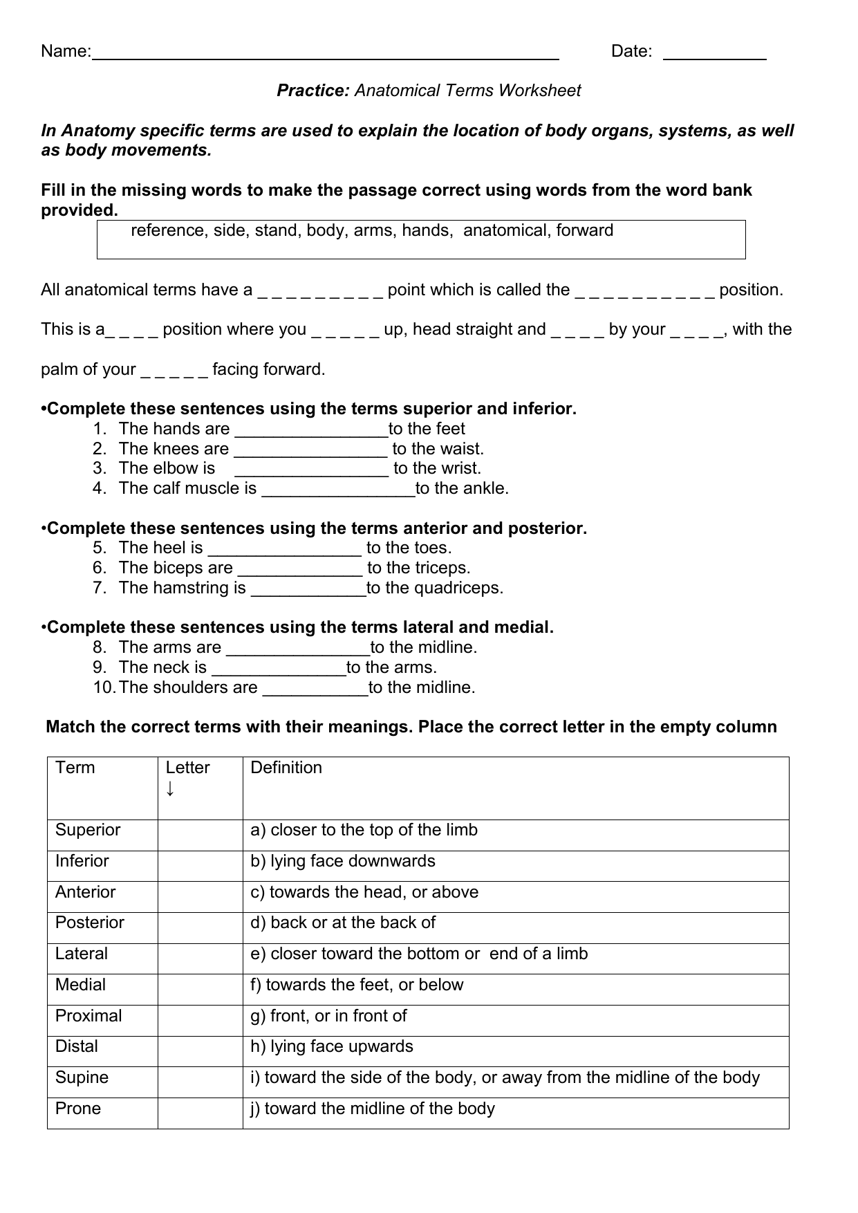 Anatomy Directional Terms Worksheet Answers - Anatomy Drawing Diagram Intended For Anatomical Terms Worksheet Answers