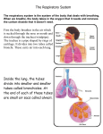 respiratory info