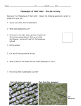 DATA AND OBSERVATIONS: Draw all of the cells that you see