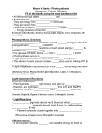 Chapter 7: Where it Starts – Photosynthesis