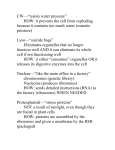 10/23 Organelle notes modifications