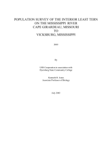 POPULATION SURVEY OF THE INTERIOR LEAST TERN