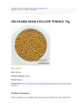 MUSTARD SEED YELLOW WHOLE 75g : Herbie`s Spices : http