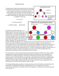 nondisjunction