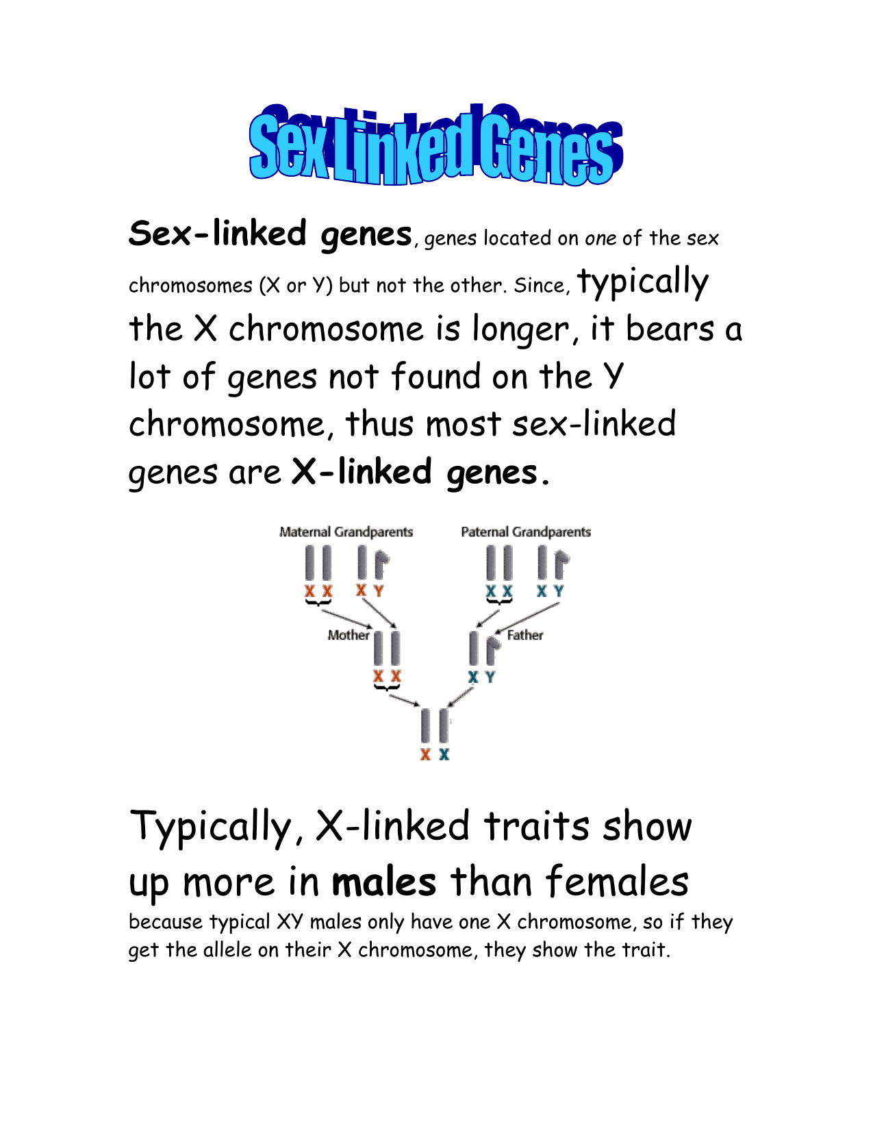 Most sex-linked genes are found on the foto 34