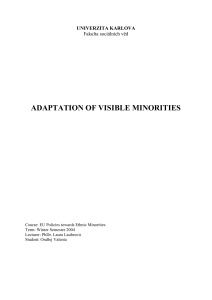 adaptation of visible minorities