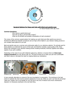 Surgical Options for Dogs and Cats with blind and painful eyes by