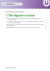 Exam practice answers 2