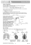 KS3 Science