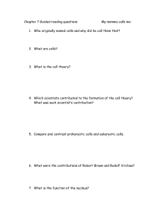 Cells Guided Reading Questions Chapter 7