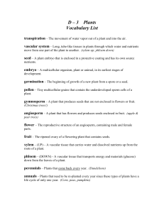Chapter 2 - Vocabulary List