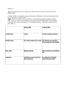 Option A - IBperiod5