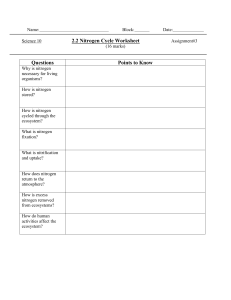 bio 2.2 nitrogen cycle ws