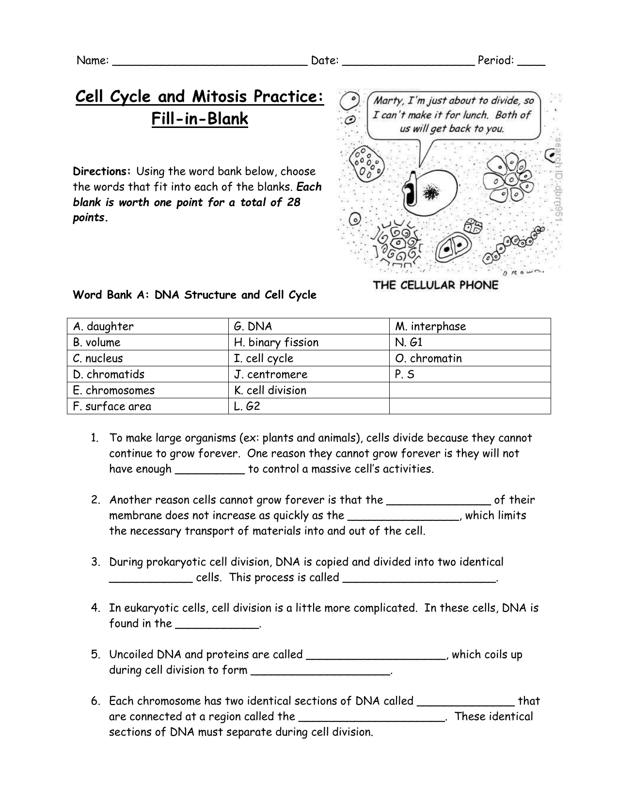Mitosis Fill-in-the-Blank Worksheet Throughout The Cell Cycle Worksheet Answers