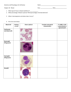 Anatomy and Physiology Unit 10 Review