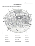 Cell parts practice