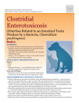 clostridial_enterotoxicosis