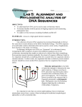 Align the DNA sequences