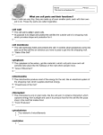 What are cell parts and their functions