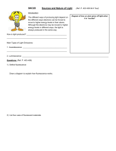 Sources and Nature of Light worksheet File