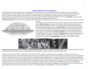 actinomycetes-2012