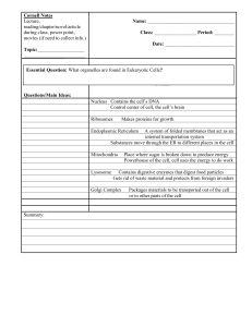 Organelle Notes